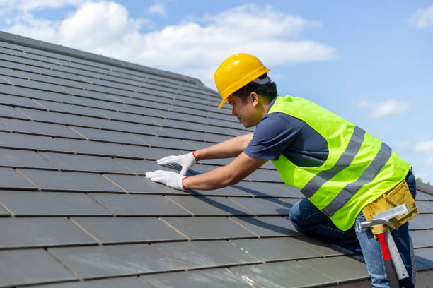 Best Roof Gutter Cleaning  in Pitola, CA