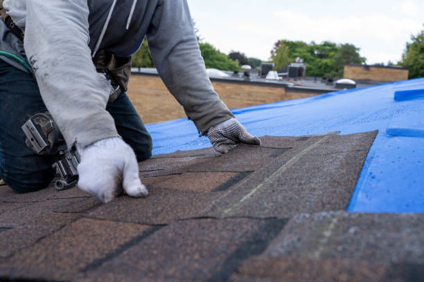 Best Commercial Roofing Services  in Pitola, CA